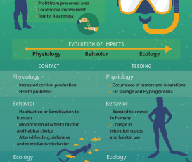 Impacts of fish tourism